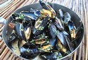 P.E.I. Mussels with Cilantro & Ginger