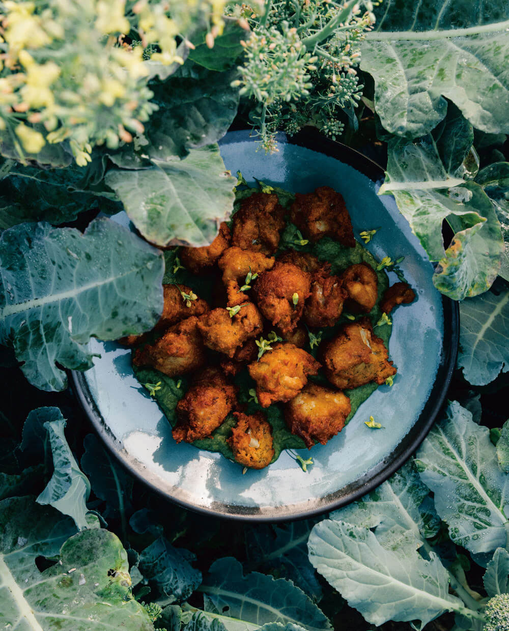 Cauliflower Chickpea Fritters 