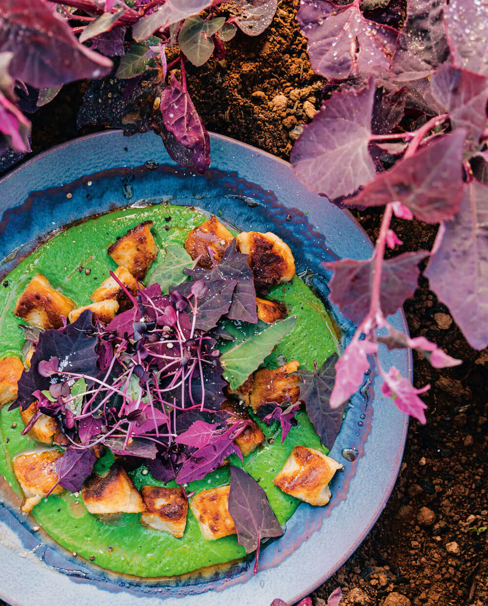 Potato Gnocchi, Nutmeg Spinach Sauce, and Orach Salad