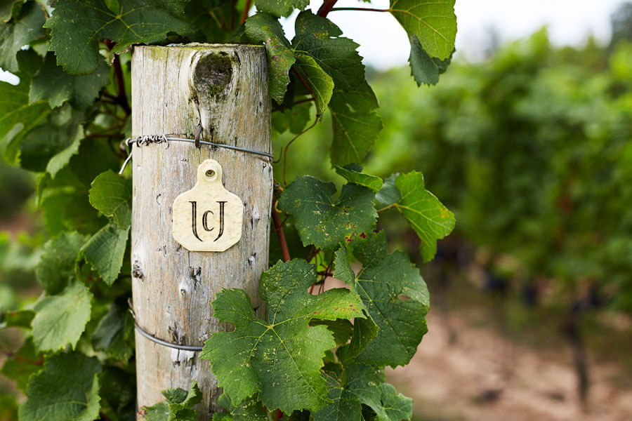 vineyard post