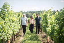 I4C - Among the Vines: A Global Gathering