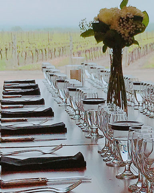 Taste a Place: Montague Vineyard Tour, Vertical Tasting & Brunch Bites