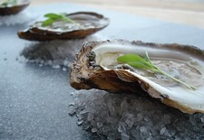 Fresh Shucked Oysters with Icewine Mignonette