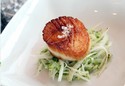 Seared Sea Scallops On Apple & Celery Slaw With Riesling Vinaigrette